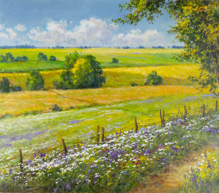 Gerhard Nesvadba, Felderland – Öl auf Leinwand, 80 × 70 cm