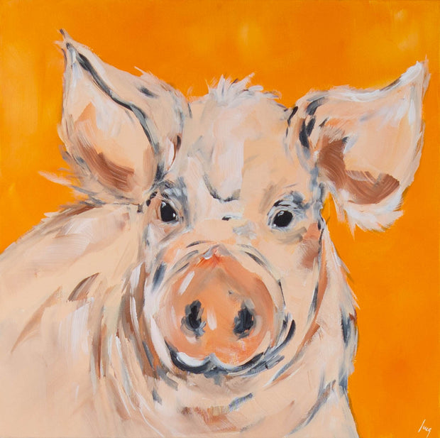 Ines Ramm, Poldy – Acryl auf Leinwand, 60 × 60 cm, Porträt eines Ferkels vor orangefarbenem Grund