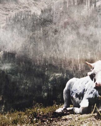 Allgäu 2