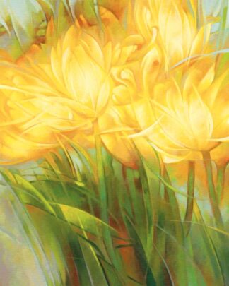 Gelbe Tulpen 1