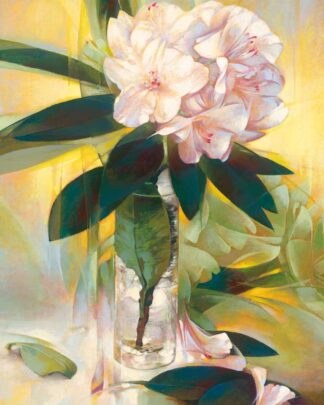 Rhododendron