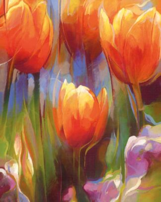 Orange Tulpen 1