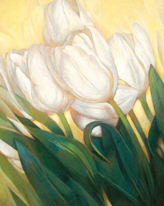 Weiße Tulpen 3