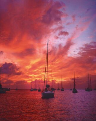 Sailor's Delight