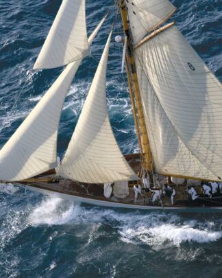 Regatta 01