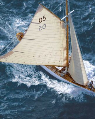 Regatta 03