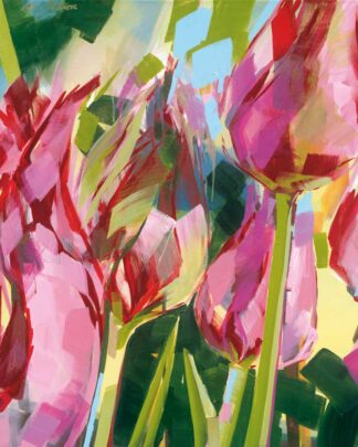 Tulpen Pink 1