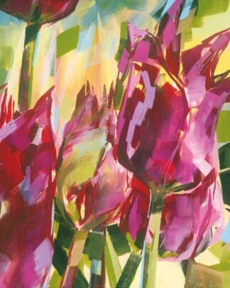 Tulpen Pink 2