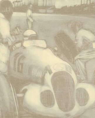 Mercedes emozioni 4