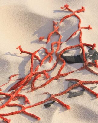 Netz im Strand